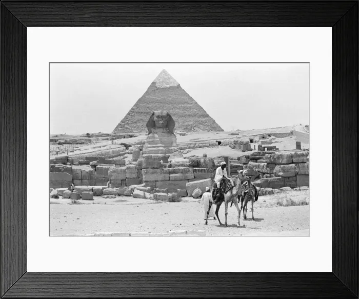 Framed Print : A camel ride vendor seen here in the depression to the south of Khafre Framed Print : A camel ride vendor seen here in the depression to the south of Khafre