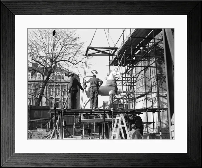 Framed Print : 00673680 Framed Print : 00673680
