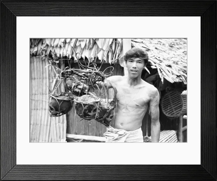 Framed Print : A Borneo headhunter tribesman seen here holding up a basket of human skulls Framed Print : A Borneo headhunter tribesman seen here holding up a basket of human skulls