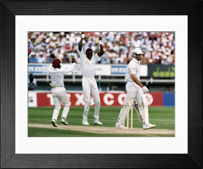 Framed Print : West Indies bowler Curtly Ambrose celebrates after taking the wicket of England batsman