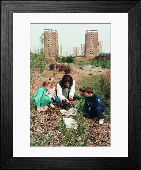 Framed Print : Urban Nature Reserve, Everton, Merseyside, 16th September 1994 Framed Print : Urban Nature Reserve, Everton, Merseyside, 16th September 1994