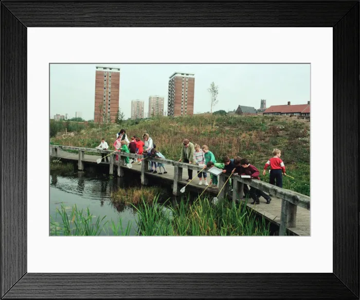 Framed Print : Urban Nature Reserve, Everton, Merseyside, 16th September 1994 Framed Print : Urban Nature Reserve, Everton, Merseyside, 16th September 1994
