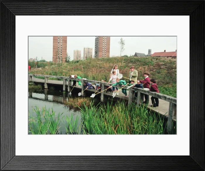 Framed Print : Urban Nature Reserve, Everton, Merseyside, 16th September 1994 Framed Print : Urban Nature Reserve, Everton, Merseyside, 16th September 1994