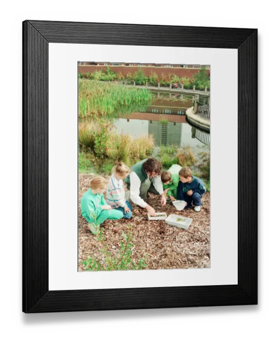 Framed Print : Urban Nature Reserve, Everton, Merseyside, 16th September 1994 Framed Print : Urban Nature Reserve, Everton, Merseyside, 16th September 1994