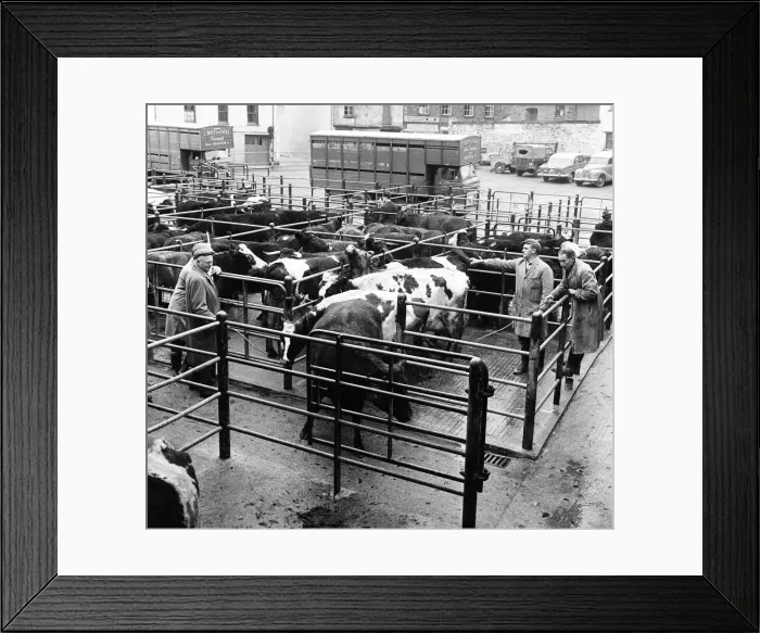 Framed Print : Market scenes in Barnstaple, North Devon. 9th January 1966