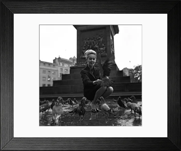 Framed Print : Tippi Hedren, star of Hithcocks 1963 classic The Birds