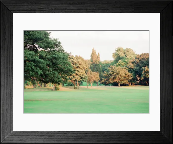 Framed Print : Edge of Wood, Sefton Park, south Liverpool, 1st September 1994 Framed Print : Edge of Wood, Sefton Park, south Liverpool, 1st September 1994