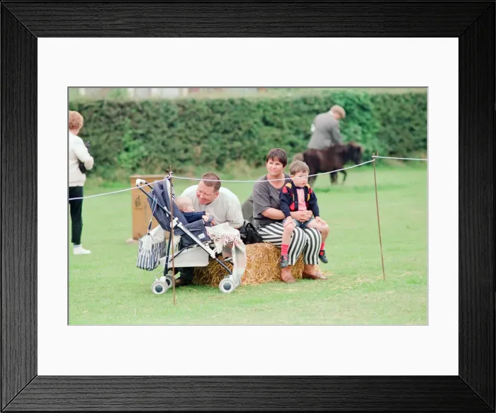 Framed Print : Shetland Pony Show, Liverpool, 3rd September 1994 Framed Print : Shetland Pony Show, Liverpool, 3rd September 1994