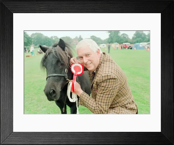Framed Print : Shetland Pony Show, Liverpool, 3rd September 1994 Framed Print : Shetland Pony Show, Liverpool, 3rd September 1994