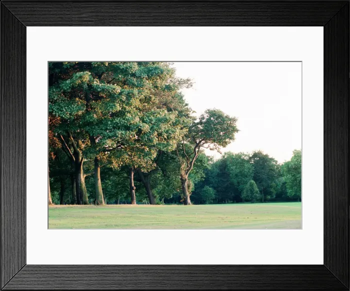 Framed Print : Edge of Wood, Sefton Park, south Liverpool, 1st September 1994 Framed Print : Edge of Wood, Sefton Park, south Liverpool, 1st September 1994