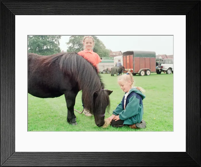 Framed Print : Shetland Pony Show, Liverpool, 3rd September 1994 Framed Print : Shetland Pony Show, Liverpool, 3rd September 1994