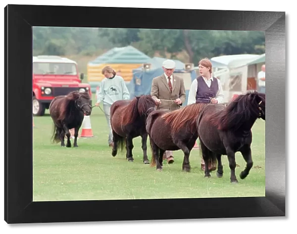 Shetland Pony Show, Liverpool, 3rd September 1994