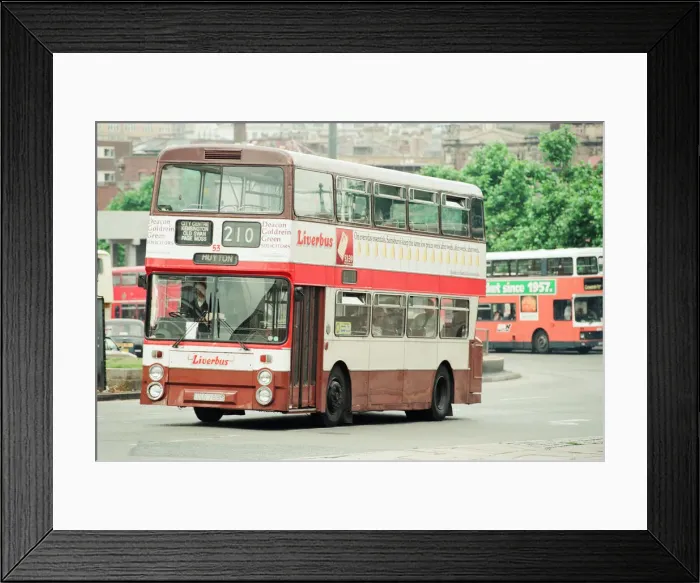 Framed Print : Buses in Liverpool, 6th September 1994 Framed Print : Buses in Liverpool, 6th September 1994