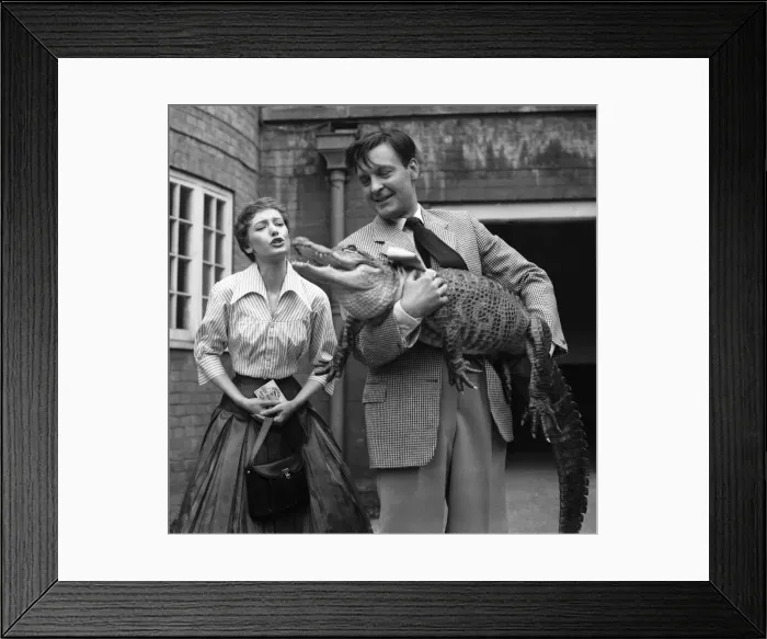 Framed Print : Jennie Carson and Donald Sinden during filming An Alligator Named Daisy. 27th April 1955 Framed Print : Jennie Carson and Donald Sinden during filming An Alligator Named Daisy. 27th April 1955