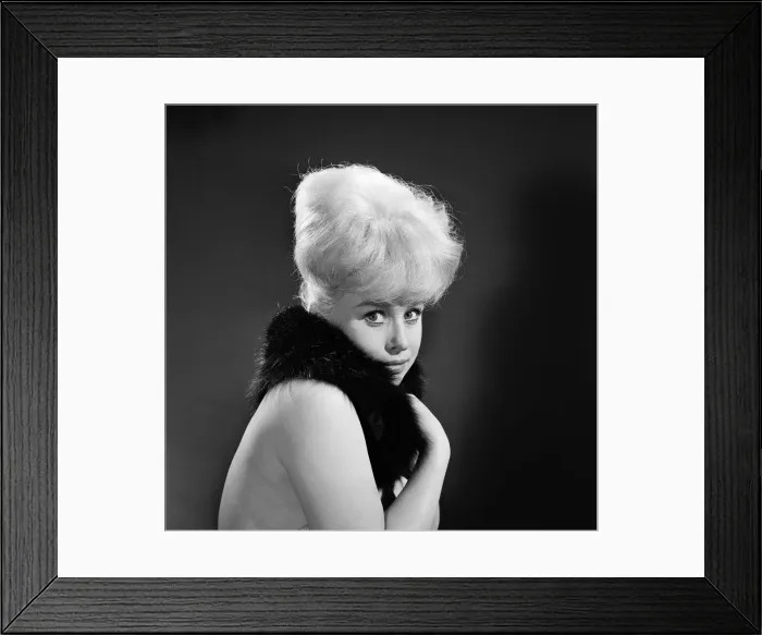 Framed Print : Barbara Windsor, actress and star of BBC TV Series, The Rag Trade Framed Print : Barbara Windsor, actress and star of BBC TV Series, The Rag Trade