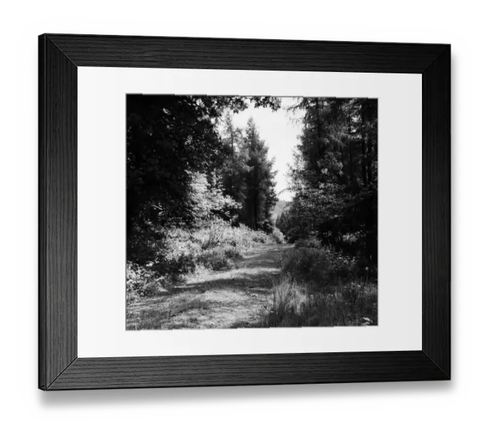 Framed Print : Offas Dyke is a large linear earthwork that roughly follows the current border