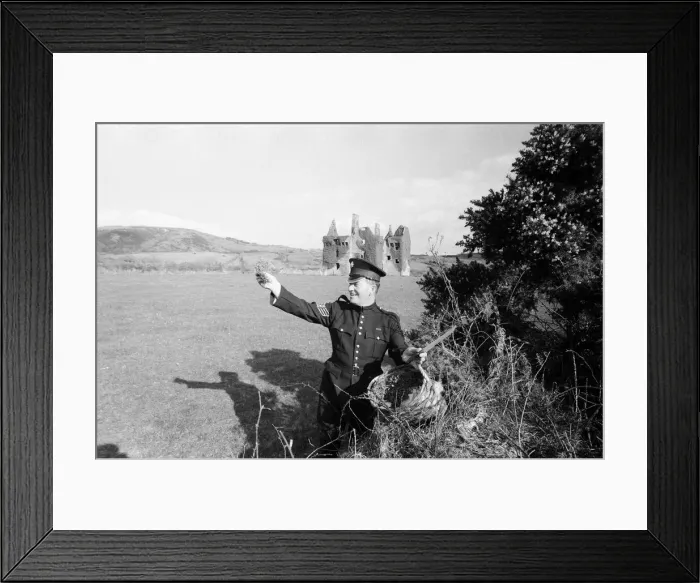 Framed Print : 43-year-old Colour Sergeant Joseph Cuddihy of the Irish Guards picks 1 Framed Print : 43-year-old Colour Sergeant Joseph Cuddihy of the Irish Guards picks 1