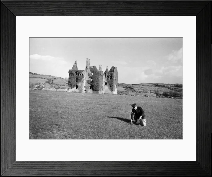 Framed Print : 43-year-old Colour Sergeant Joseph Cuddihy of the Irish Guards picks 1 Framed Print : 43-year-old Colour Sergeant Joseph Cuddihy of the Irish Guards picks 1