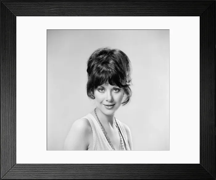 Framed Print : Valli Kemp, Actress & Model, Studio Pix, 28th April 1973 Framed Print : Valli Kemp, Actress & Model, Studio Pix, 28th April 1973