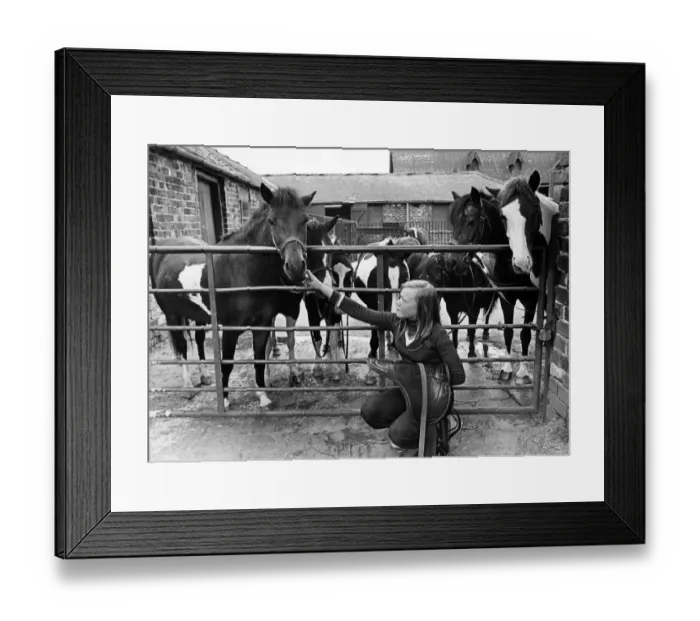 Framed Print : Susan Tomes, 15 from Easterside, volunteer helper at Stewart Park, Marton, Middlesbrough