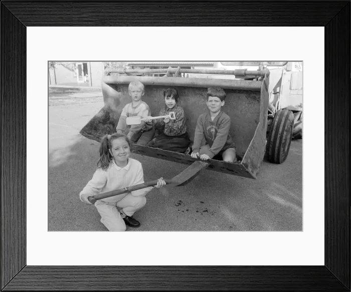 Framed Print : Taking a close interest as a JCB digger moves in to create a pond at St Aiden Framed Print : Taking a close interest as a JCB digger moves in to create a pond at St Aiden