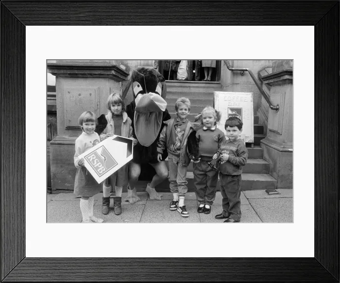 Framed Print : Watch the birdie... Youngsters who attended Bird Afternoon Framed Print : Watch the birdie... Youngsters who attended Bird Afternoon