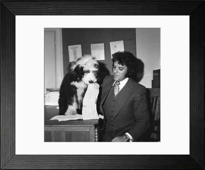 Framed Print : One man (Bob) and his dog (William). William of Arethyn is no sleeping dog when it comes