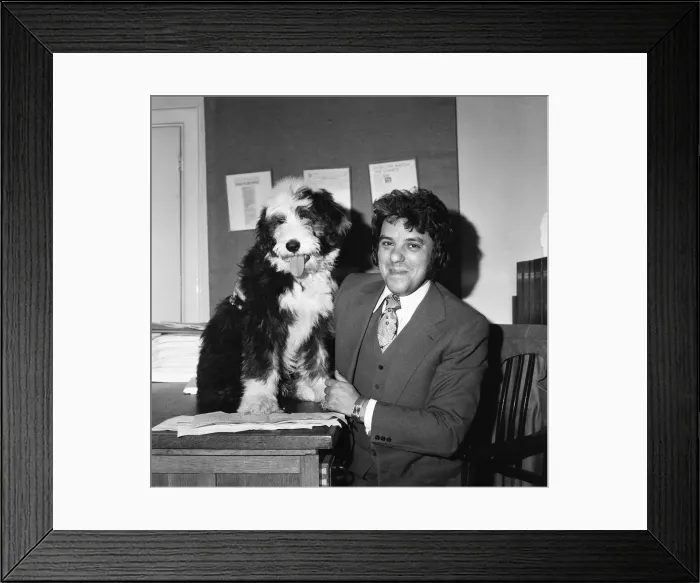 Framed Print : One man (Bob) and his dog (William). William of Arethyn is no sleeping dog when it comes Framed Print : One man (Bob) and his dog (William). William of Arethyn is no sleeping dog when it comes