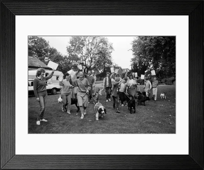Framed Print : Mass walkies - twenty-four dogs and walkers took part in this sponsored walk at Beaumont Framed Print : Mass walkies - twenty-four dogs and walkers took part in this sponsored walk at Beaumont