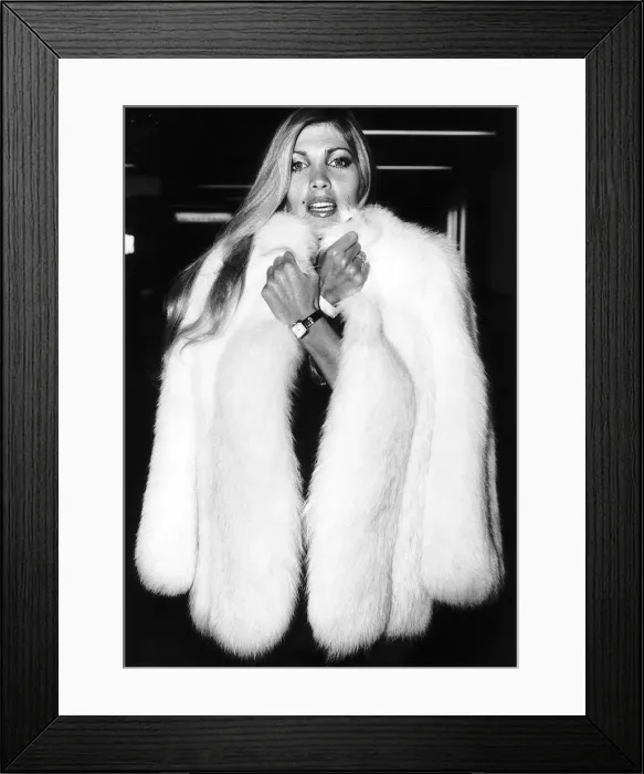 Framed Print : Lynsey de Paul singer flew into Heathrow Airport wearing her mums fur coat dbase MSI