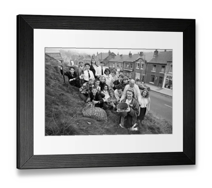 Framed Print : Planting for the future... Pupils of Colne Valley High School
