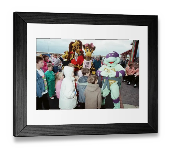 Framed Print : Turtle Mania hit Teesside today, at the opening of the new Toys R Us at Teesside Shopping Framed Print : Turtle Mania hit Teesside today, at the opening of the new Toys R Us at Teesside Shopping