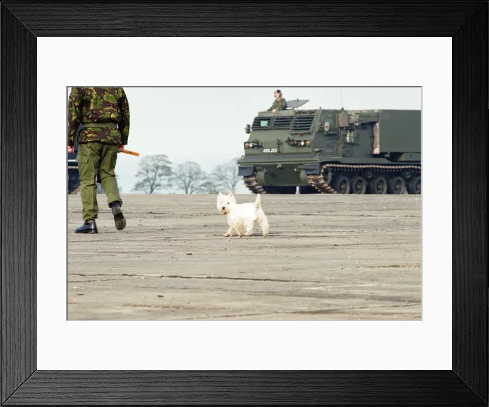 Framed Print : 39th Regiment Royal Artillery, part of 1st Artillery Brigade, aka The Welsh Gunners Framed Print : 39th Regiment Royal Artillery, part of 1st Artillery Brigade, aka The Welsh Gunners