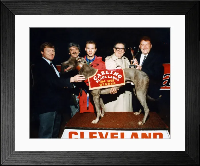 Framed Print : Greyhound Movealong Sam'is on the rostrum after winning Cleveland Park Framed Print : Greyhound Movealong Sam'is on the rostrum after winning Cleveland Park