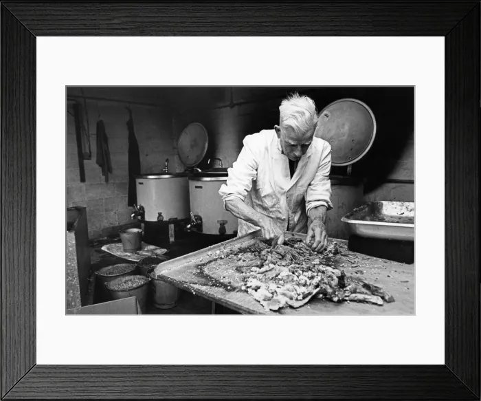 Framed Print : This is the doggy equivalent of fillet of steak-horsemeat Framed Print : This is the doggy equivalent of fillet of steak-horsemeat
