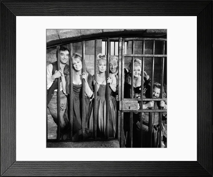 Framed Print : Richard Johnson, Kim Novak, Lilli Palmer, Vittorio De Sica