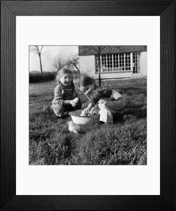 Framed Print : Sisters Mary (left) and Ann Weller playing with baby chicks at Downley Hill Farm