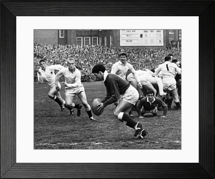 Framed Print : Wales outside half David Watkins clears the ball on the Welsh line during the match Framed Print : Wales outside half David Watkins clears the ball on the Welsh line during the match