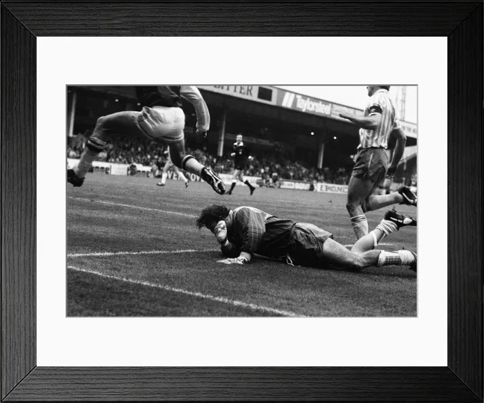 Framed Print : Divison One match Aston Villa 6 -2 Everton held at Villa Park. Neville Southall Framed Print : Divison One match Aston Villa 6 -2 Everton held at Villa Park. Neville Southall