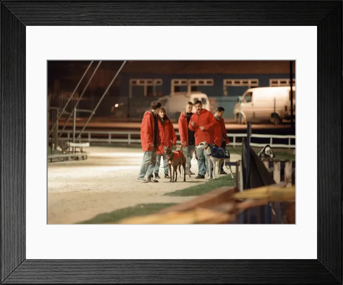 Framed Print : Greyhound Racing at Cleveland Park Stadium in Middlesbrough. 5th April 1994 Framed Print : Greyhound Racing at Cleveland Park Stadium in Middlesbrough. 5th April 1994