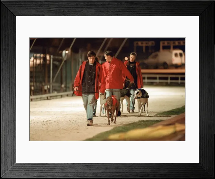 Framed Print : Greyhound Racing at Cleveland Park Stadium in Middlesbrough. 5th April 1994 Framed Print : Greyhound Racing at Cleveland Park Stadium in Middlesbrough. 5th April 1994