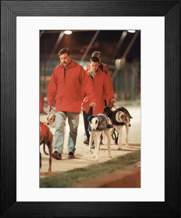 Framed Print : Greyhound Racing at Cleveland Park Stadium in Middlesbrough. 5th April 1994 Framed Print : Greyhound Racing at Cleveland Park Stadium in Middlesbrough. 5th April 1994