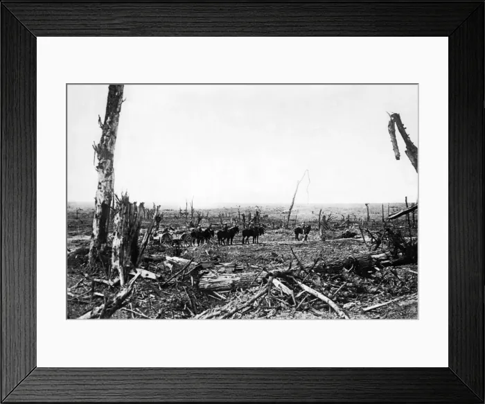 Framed Print : The Battle of the Somme (French: Bataille de la Somme, German: Schlacht an der Somme)