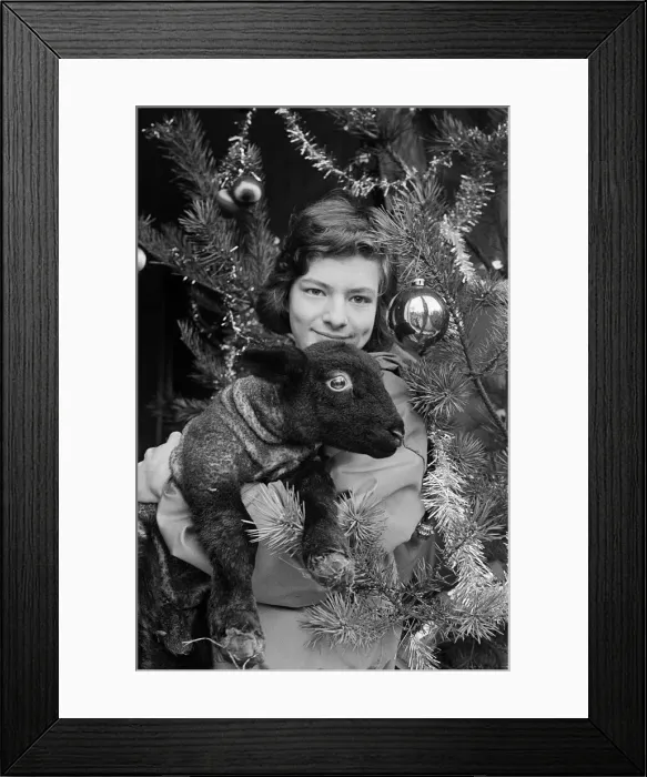 Framed Print : A young girl holding a Christmas lamb, December 1985 Framed Print : A young girl holding a Christmas lamb, December 1985