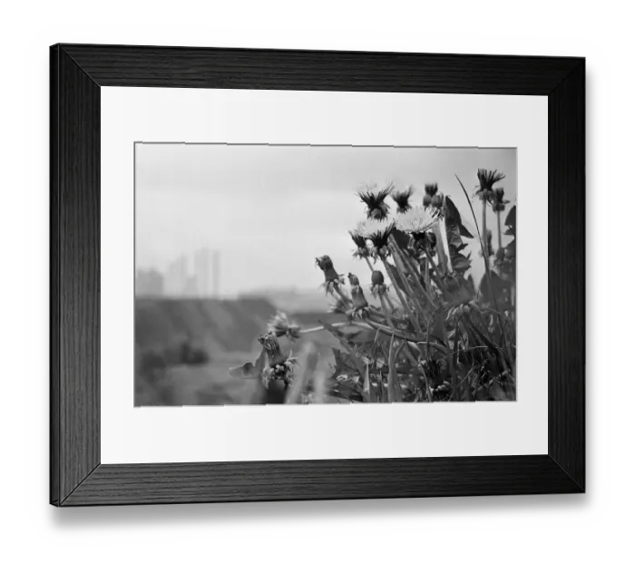 Framed Print : The Black Country, West Midlands, England. 25th May 1968