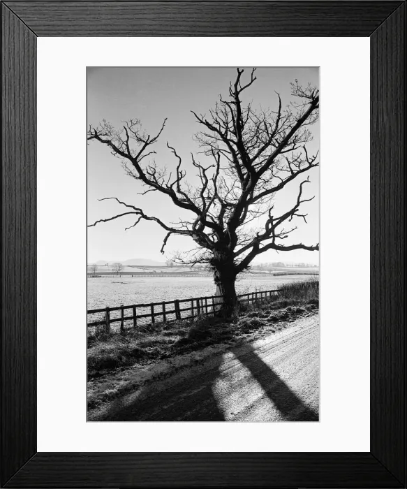 Framed Print : Countryside Scenes, Cleveland, North Yorkshire, 1st February 1980 Framed Print : Countryside Scenes, Cleveland, North Yorkshire, 1st February 1980