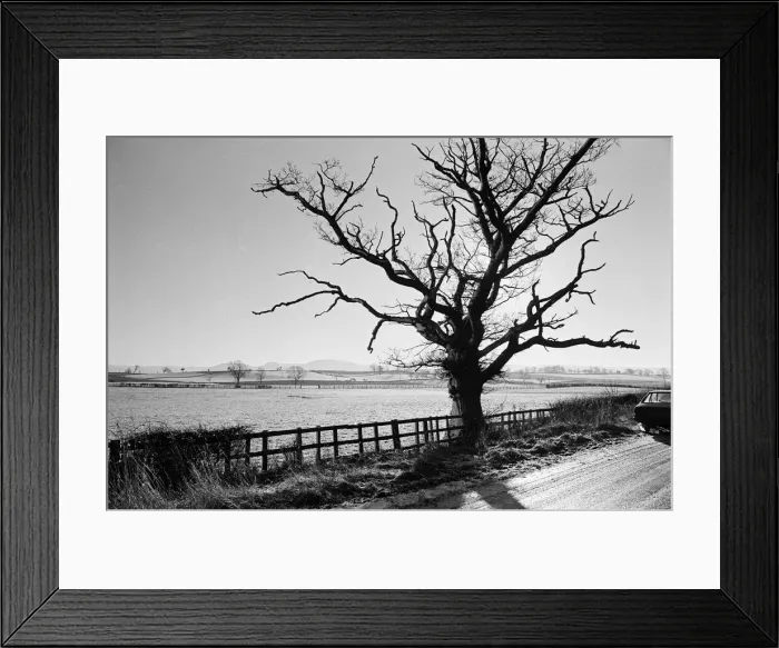 Framed Print : Countryside Scenes, Cleveland, North Yorkshire, 1st February 1980