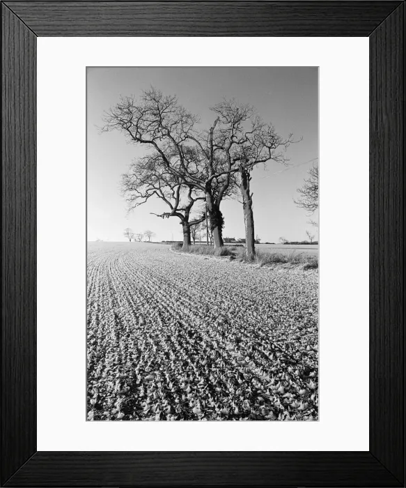 Framed Print : Countryside Scenes, Cleveland, North Yorkshire, 1st February 1980 Framed Print : Countryside Scenes, Cleveland, North Yorkshire, 1st February 1980