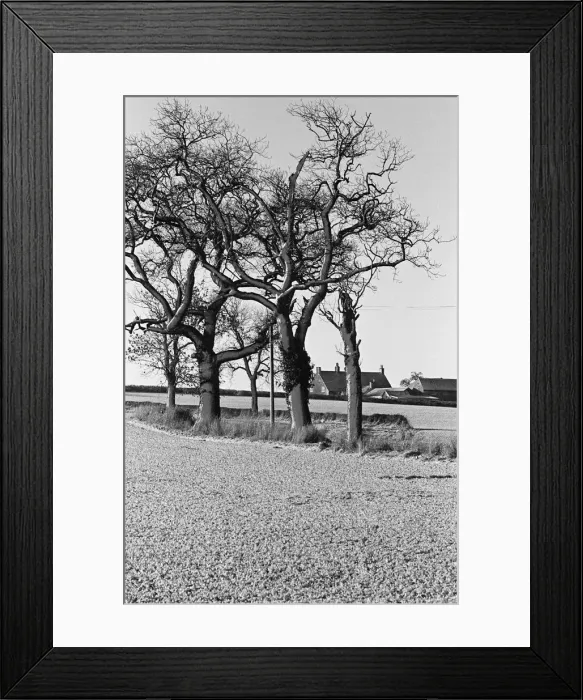 Framed Print : Countryside Scenes, Cleveland, North Yorkshire, 1st February 1980 Framed Print : Countryside Scenes, Cleveland, North Yorkshire, 1st February 1980