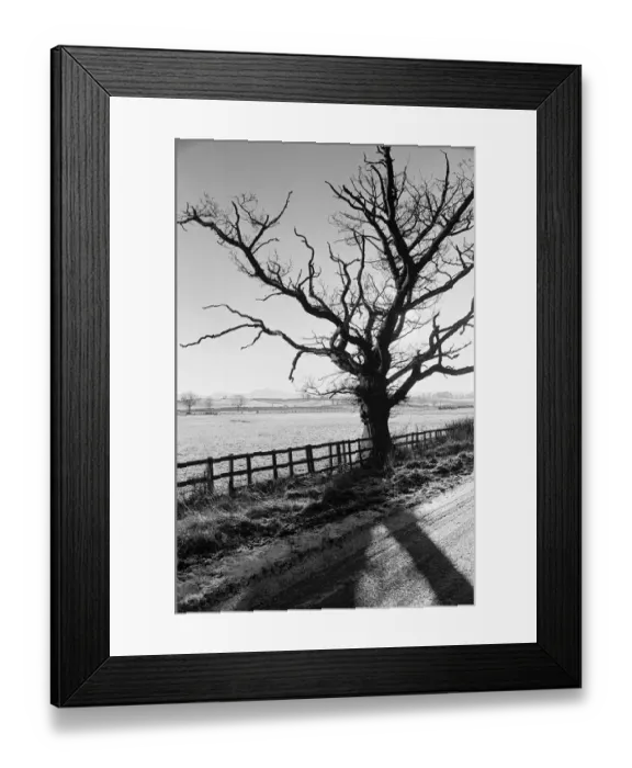 Framed Print : Countryside Scenes, Cleveland, North Yorkshire, 1st February 1980 Framed Print : Countryside Scenes, Cleveland, North Yorkshire, 1st February 1980